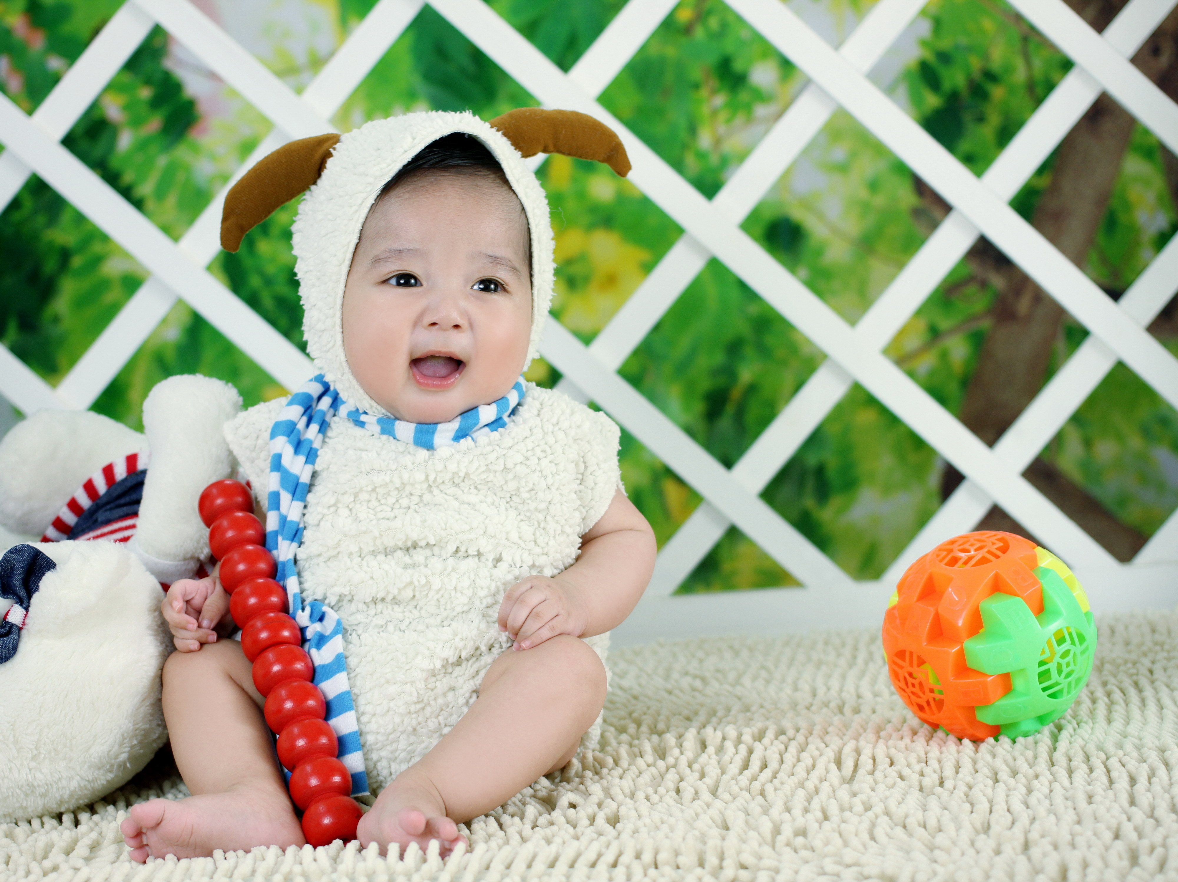 惠州捐卵代怀试管婴儿胚囊成功率